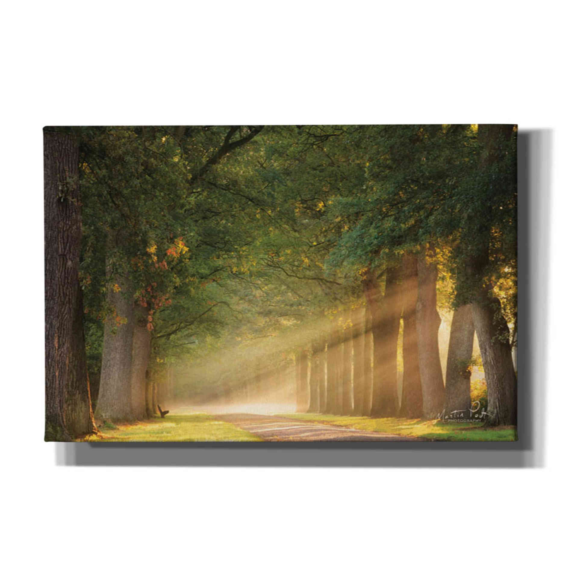 'Perfect Place to Sit' by Martin Podt, Canvas Wall Art,Size A Landscape