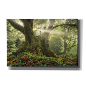 'One-Two Tree' by Martin Podt, Canvas Wall Art,Size A Landscape