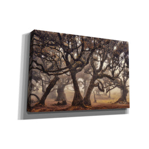 'The Hidden Truth' by Martin Podt, Canvas Wall Art,Size A Landscape
