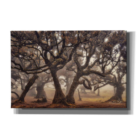 Image of 'The Hidden Truth' by Martin Podt, Canvas Wall Art,Size A Landscape