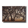 'The Hidden Truth' by Martin Podt, Canvas Wall Art,Size A Landscape