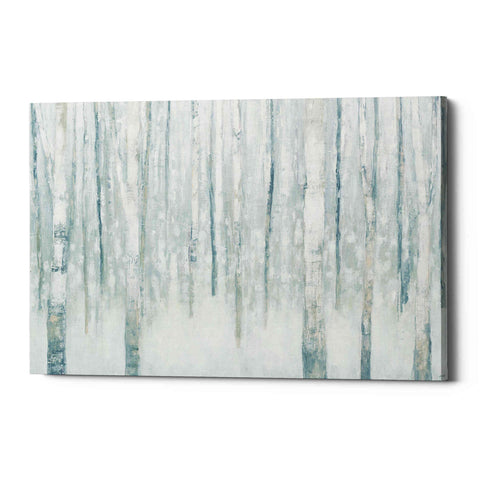 Image of 'Birches In Winter Blue' by Julia Purinton, Canvas Wall Art