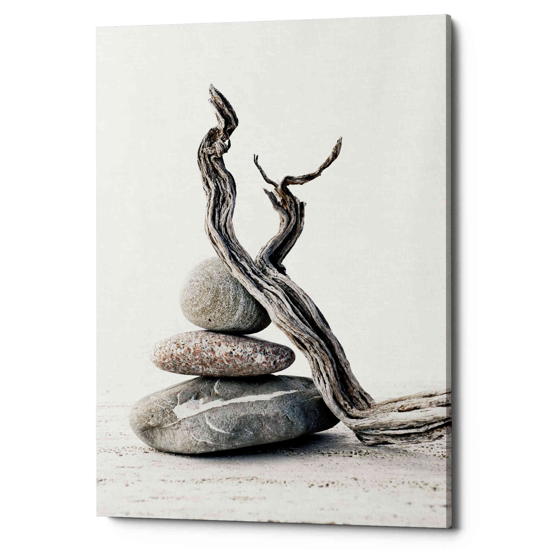 'Elemental Zen' by Elena Ray Canvas Wall Art