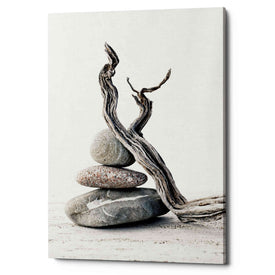 'Elemental Zen' by Elena Ray Canvas Wall Art