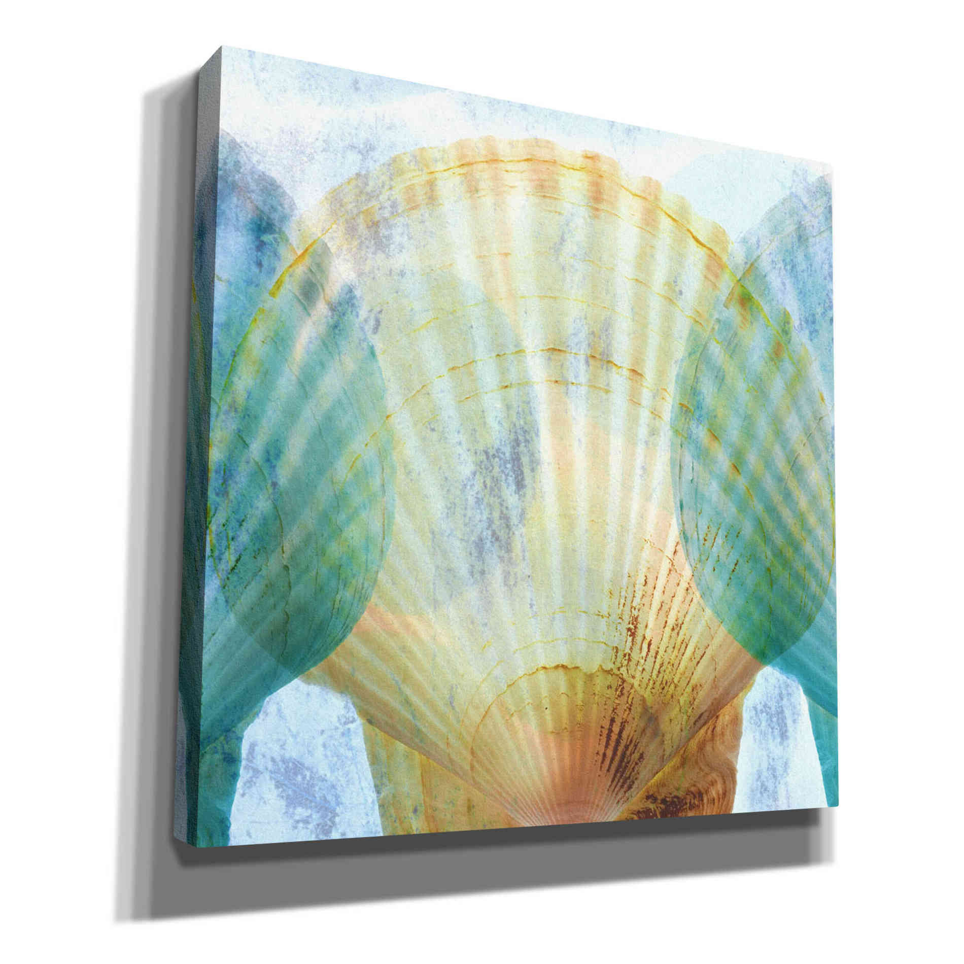 'Luminous Seashells 2' by Elena Ray Canvas Wall Art
