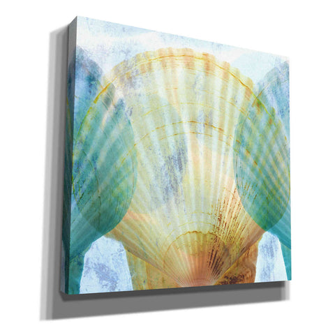 Image of 'Luminous Seashells 2' by Elena Ray Canvas Wall Art