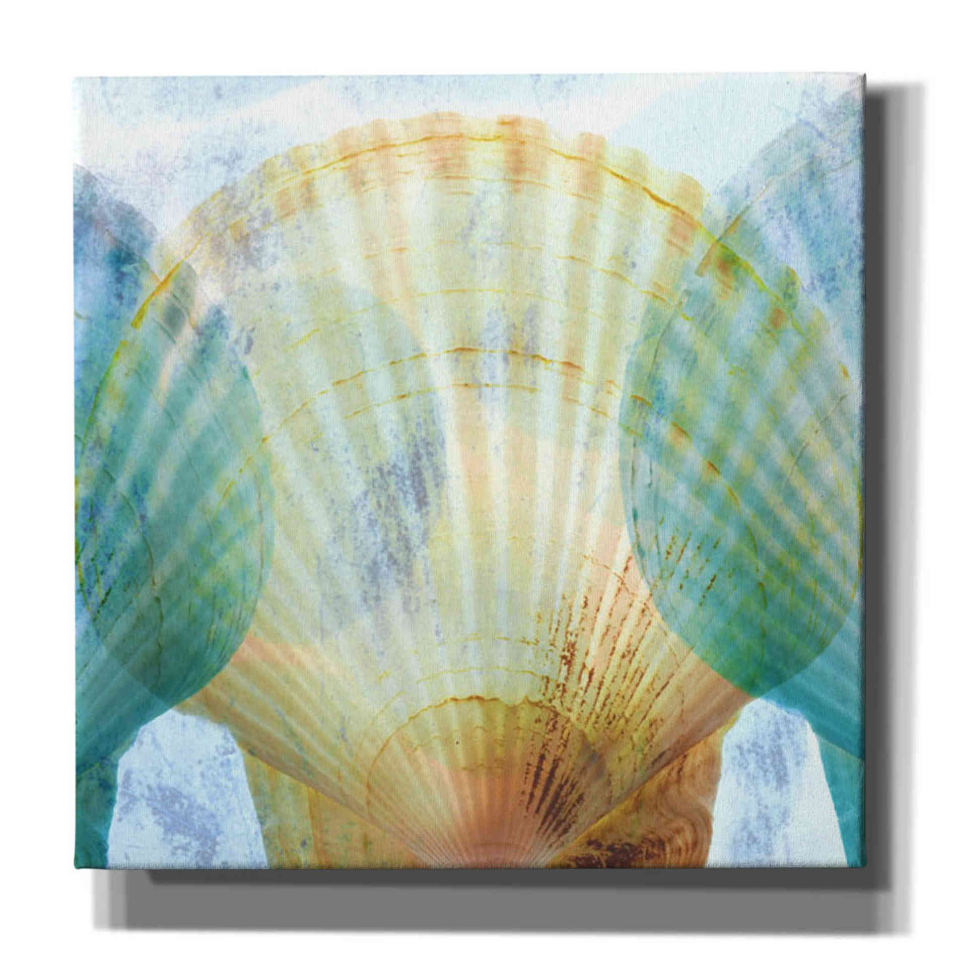 'Luminous Seashells 2' by Elena Ray Canvas Wall Art