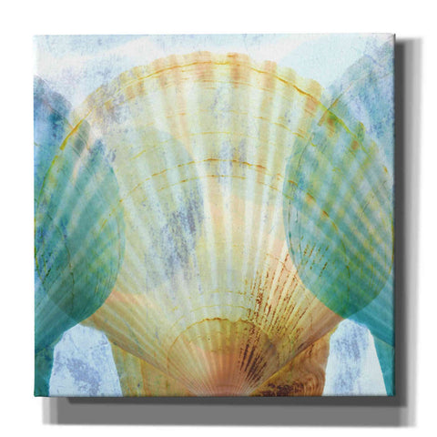 Image of 'Luminous Seashells 2' by Elena Ray Canvas Wall Art