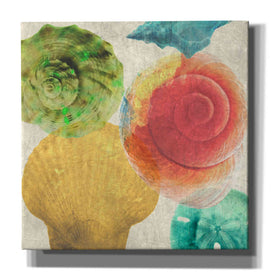 'Luminous Seashells 4' by Elena Ray Canvas Wall Art