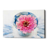 'Pink Flower in a sake Cup' by Elena Ray Canvas Wall Art