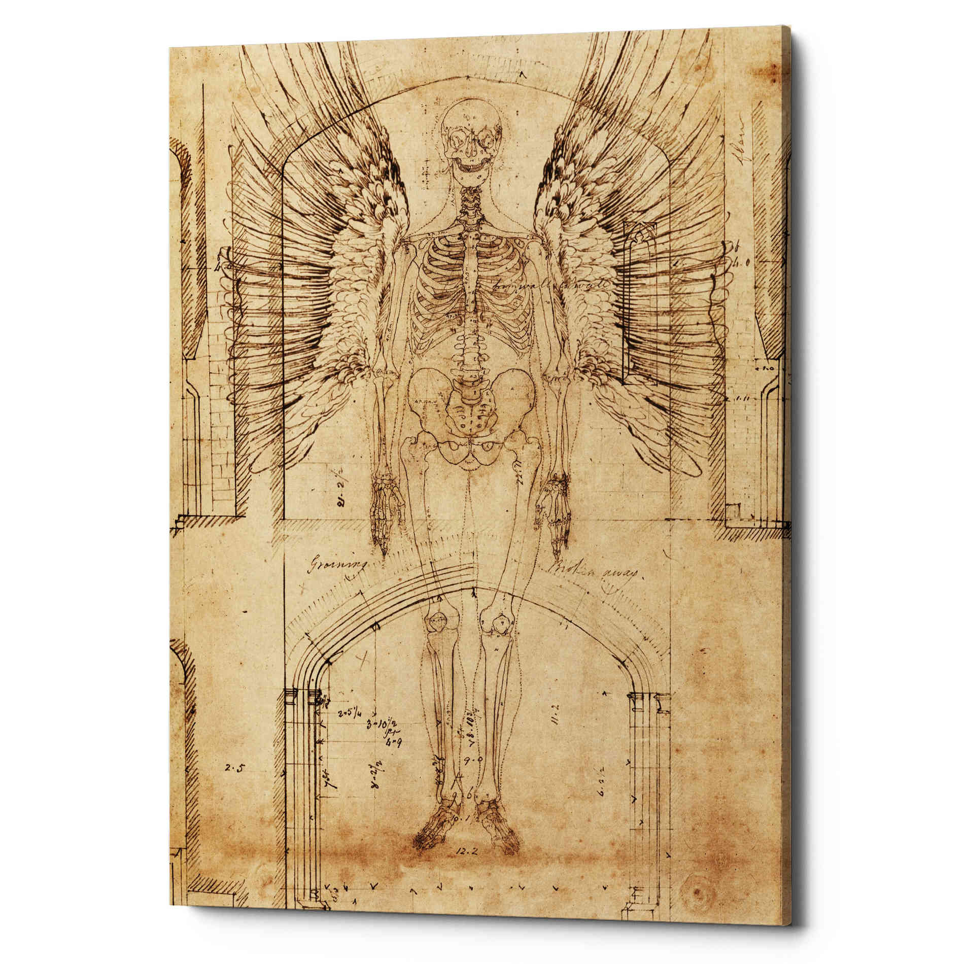 'Renaissance Angel' by Elena Ray Canvas Wall Art