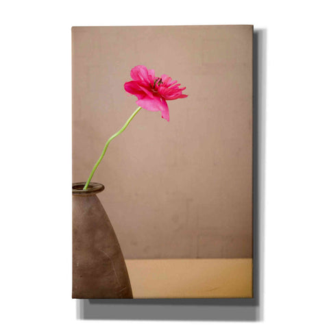 Image of 'Simple' by Elena Ray Canvas Wall Art