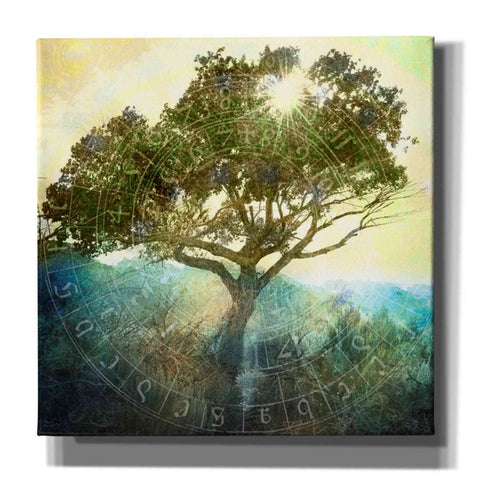 Image of 'Tree And Sun' by Elena Ray Canvas Wall Art