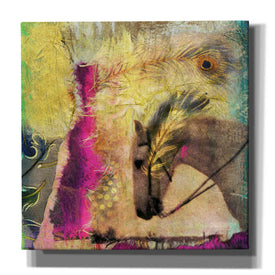 'White Horse' by Elena Ray Canvas Wall Art