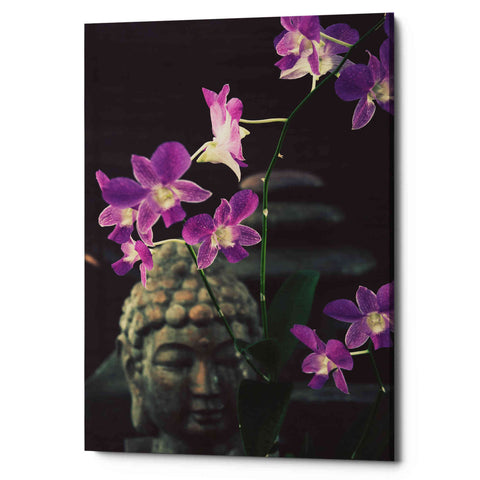 Image of 'Zen Purple Orchids' by Elena Ray Canvas Wall Art