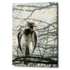 'Bird of Prey' by River Han, Giclee Canvas Wall Art