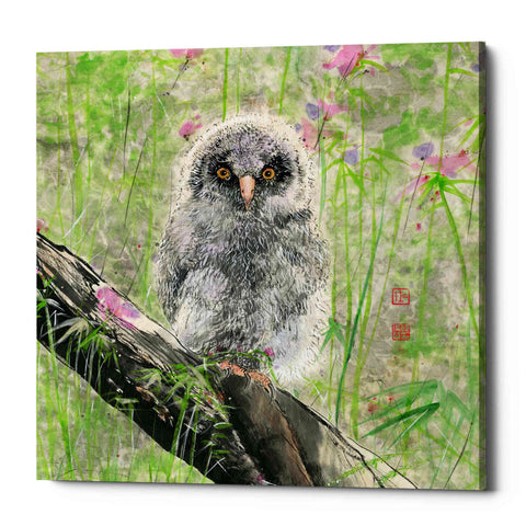 Image of 'Owlet' by River Han, Giclee Canvas Wall Art