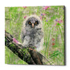 'Owlet' by River Han, Giclee Canvas Wall Art