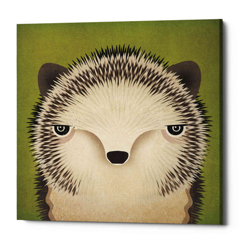 Image of 'Baby Hedgehog' by Ryan Fowler, Canvas Wall Art