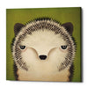 'Baby Hedgehog' by Ryan Fowler, Canvas Wall Art