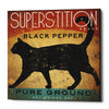 'Superstition Black Pepper Cat' by Ryan Fowler, Canvas Wall Art