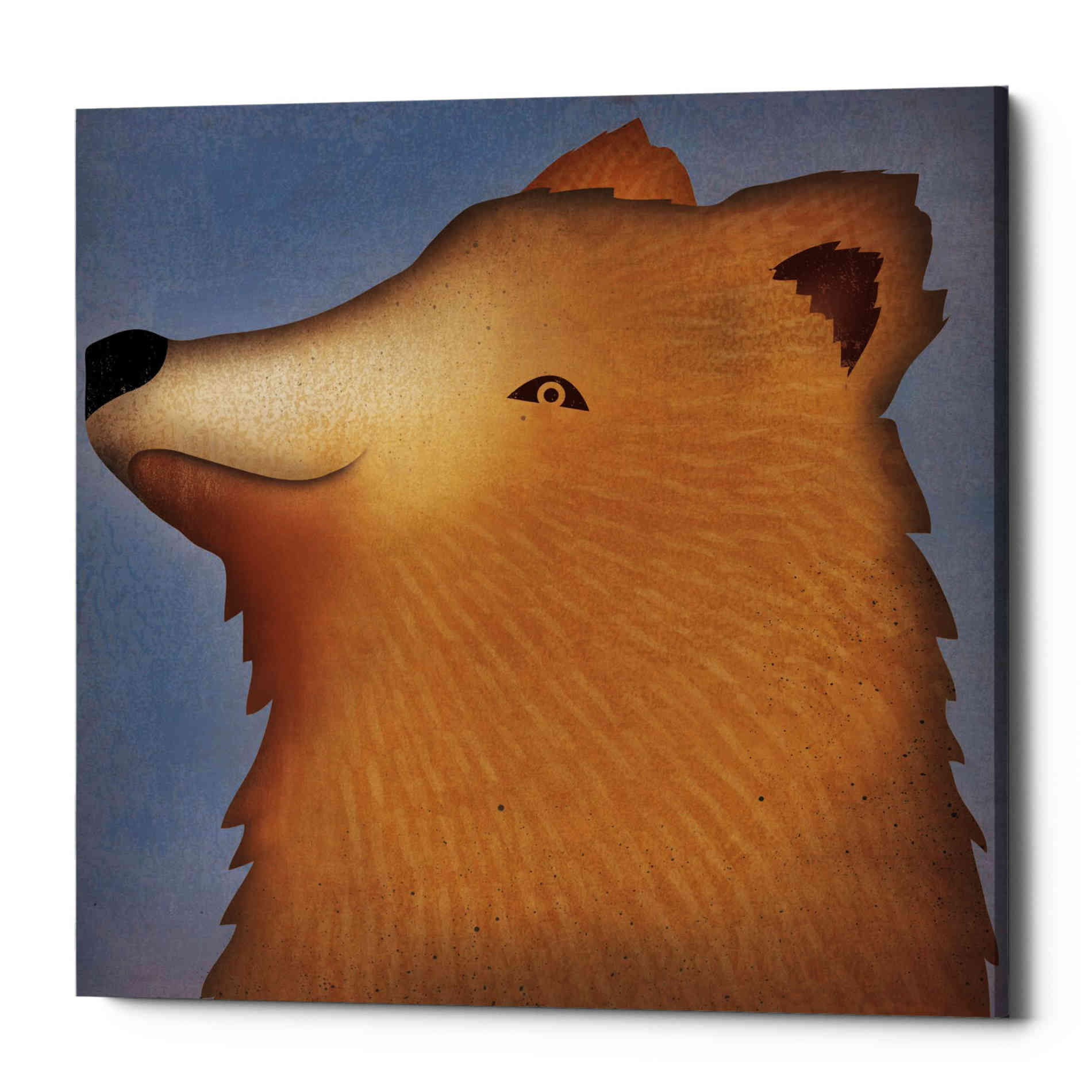 'Brown Bear Wow' by Ryan Fowler, Canvas Wall Art