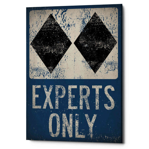 Image of 'Experts Only Blue' by Ryan Fowler, Canvas Wall Art