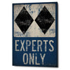 'Experts Only Blue' by Ryan Fowler, Canvas Wall Art