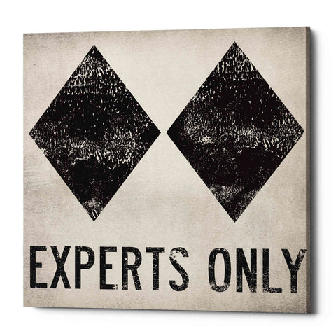 Image of 'Experts Only White' by Ryan Fowler, Canvas Wall Art
