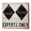 'Experts Only White' by Ryan Fowler, Canvas Wall Art