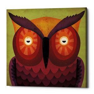 'Owl Wow' by Ryan Fowler, Canvas Wall Art