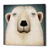 'Polar Bear Wow' by Ryan Fowler, Canvas Wall Art
