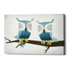'Tan Owls Bright' by Ryan Fowler, Canvas Wall Art