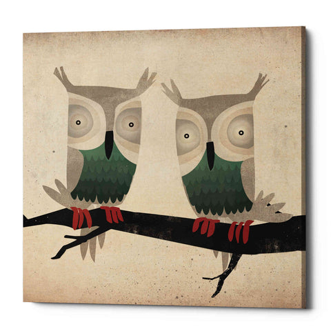 Image of 'Tan Owls Square' by Ryan Fowler, Canvas Wall Art