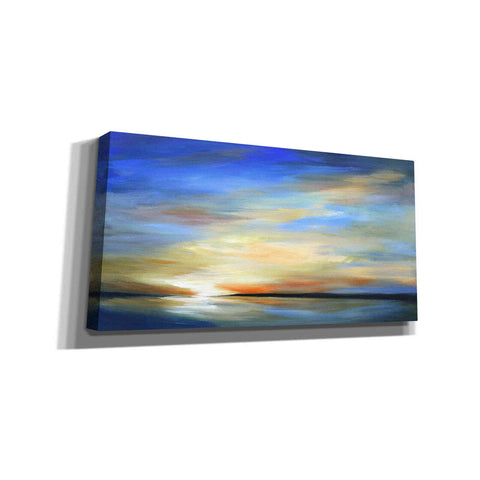 Image of 'April Sky II' by Sheila Finch Giclee Canvas Wall Art
