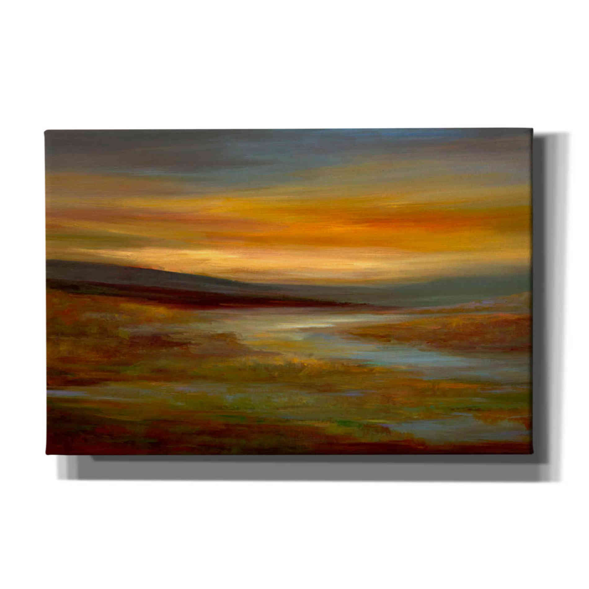 'Evening Sky' by Sheila Finch Giclee Canvas Wall Art