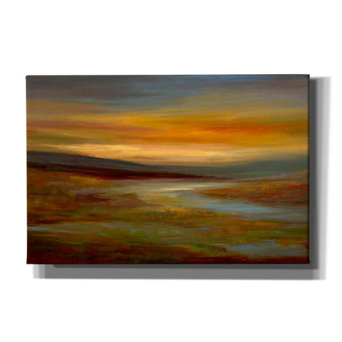 Image of 'Evening Sky' by Sheila Finch Giclee Canvas Wall Art