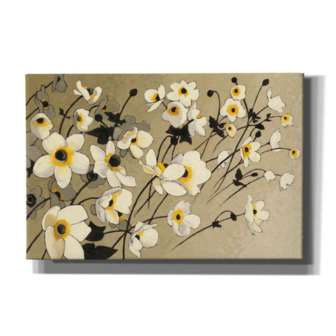 Image of 'Anemones Japonaises Blancs' by Shirley Novak, Canvas Wall Art