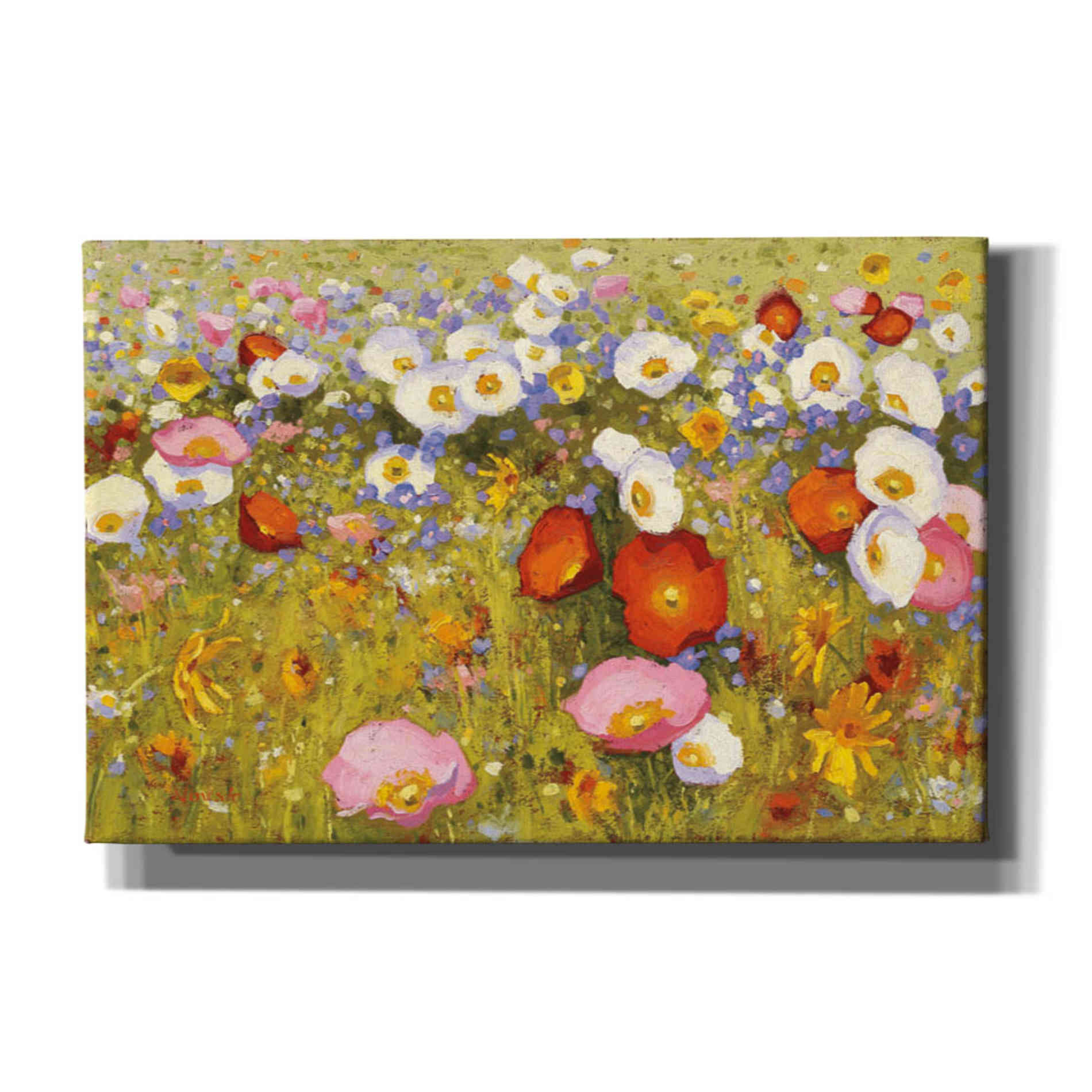 'Champ de Fleur III' by Shirley Novak, Canvas Wall Art