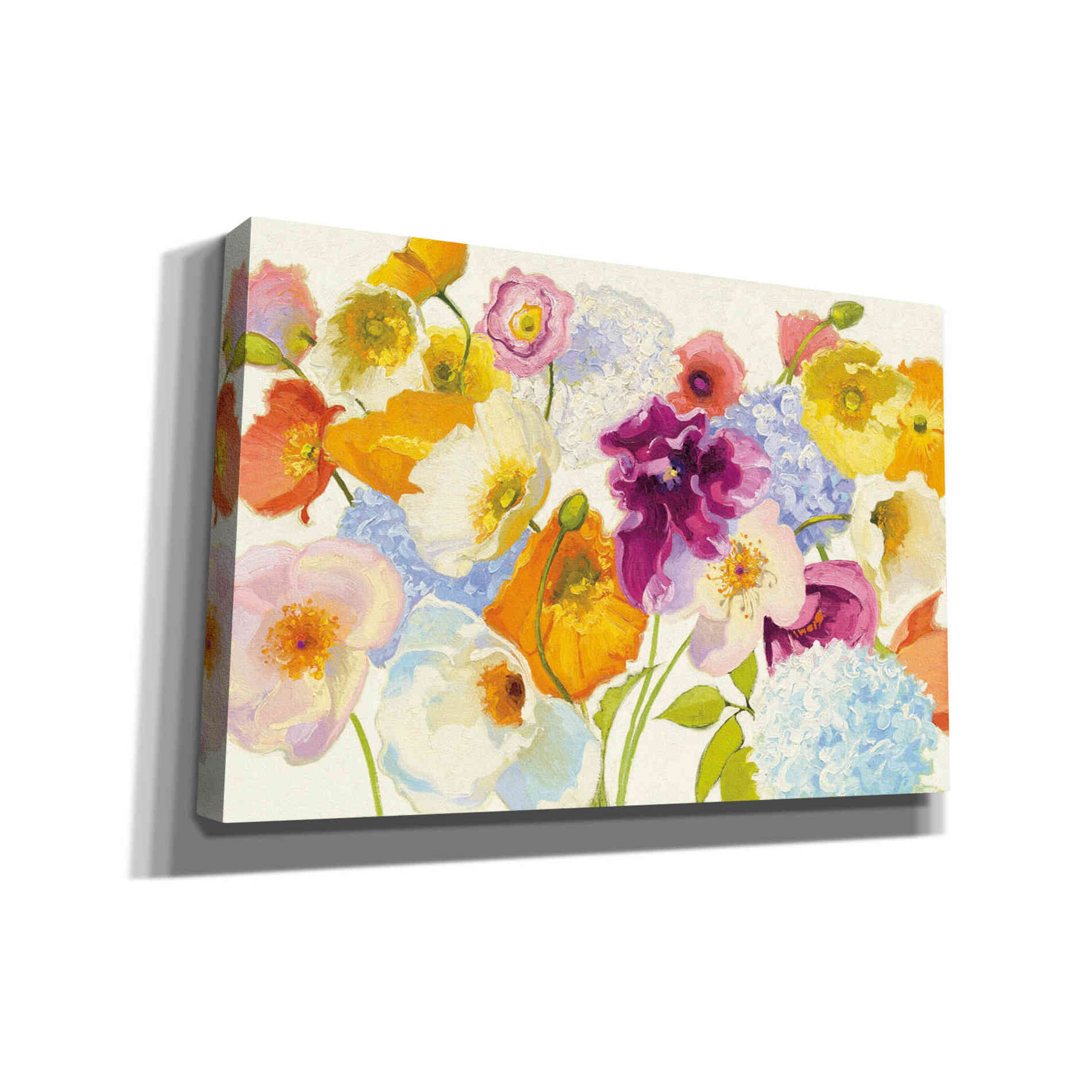 'For Paris on White' by Shirley Novak, Canvas Wall Art