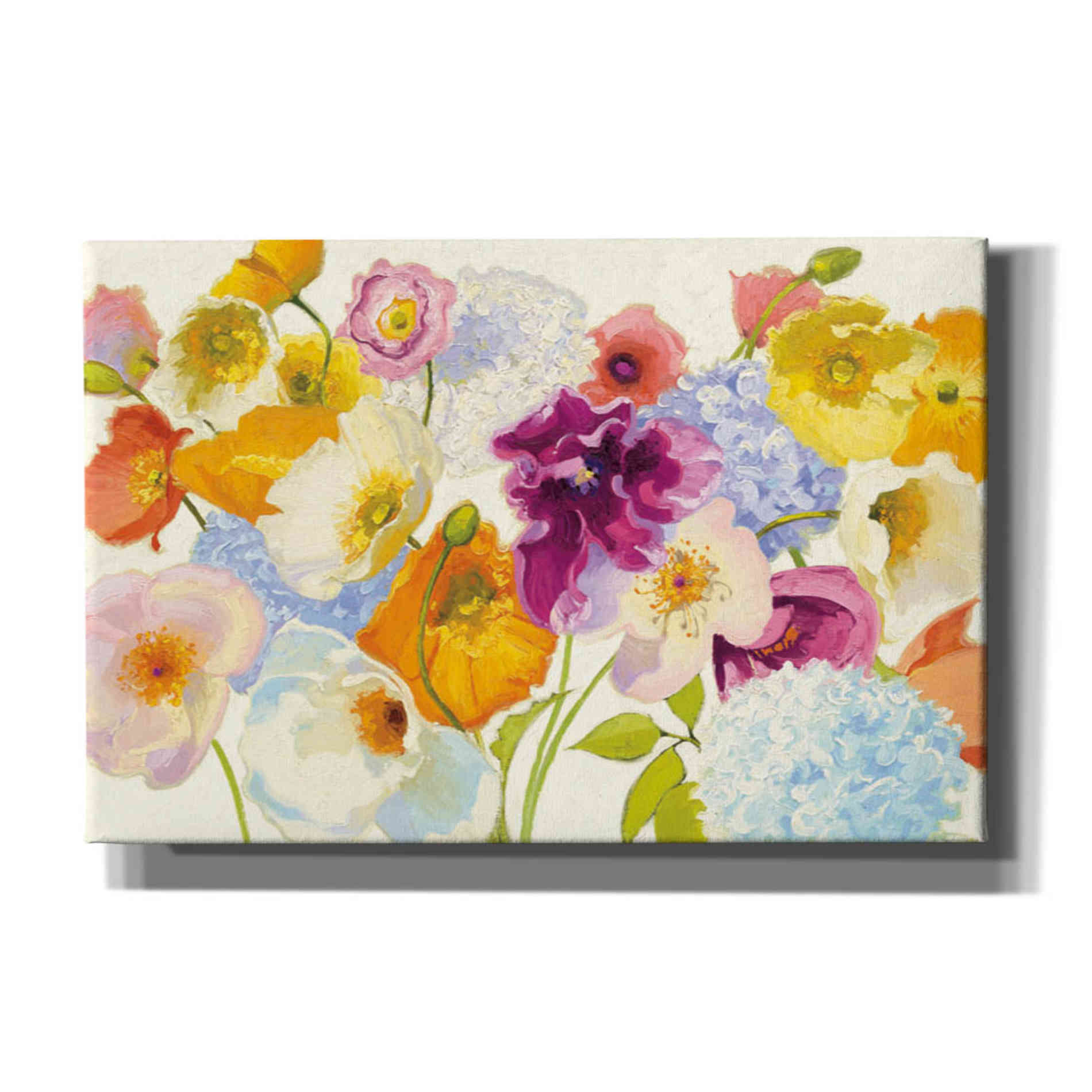 'For Paris on White' by Shirley Novak, Canvas Wall Art