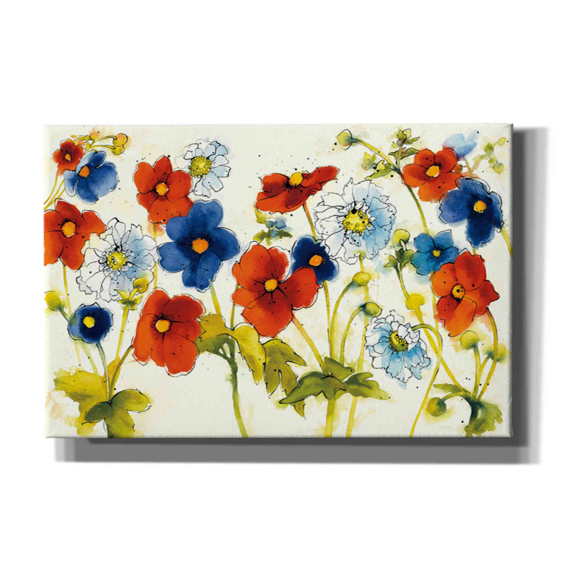 'Independent Blooms I' by Shirley Novak, Canvas Wall Art