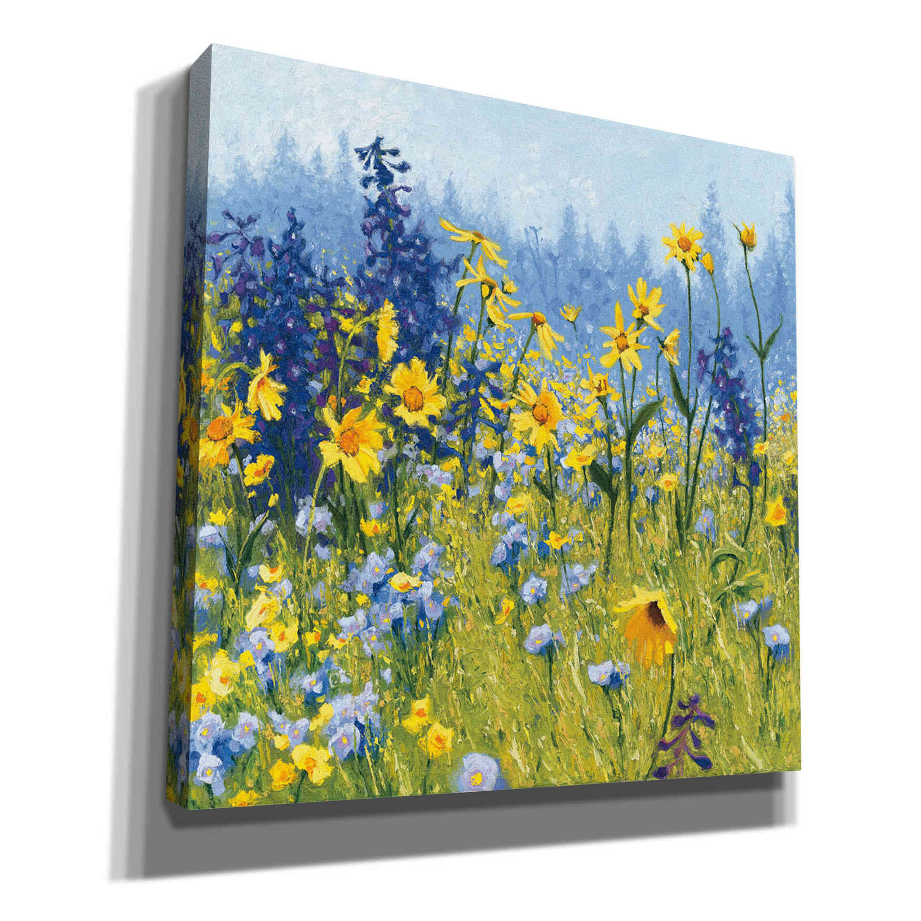 'Joyful in July III' by Shirley Novak, Canvas Wall Art