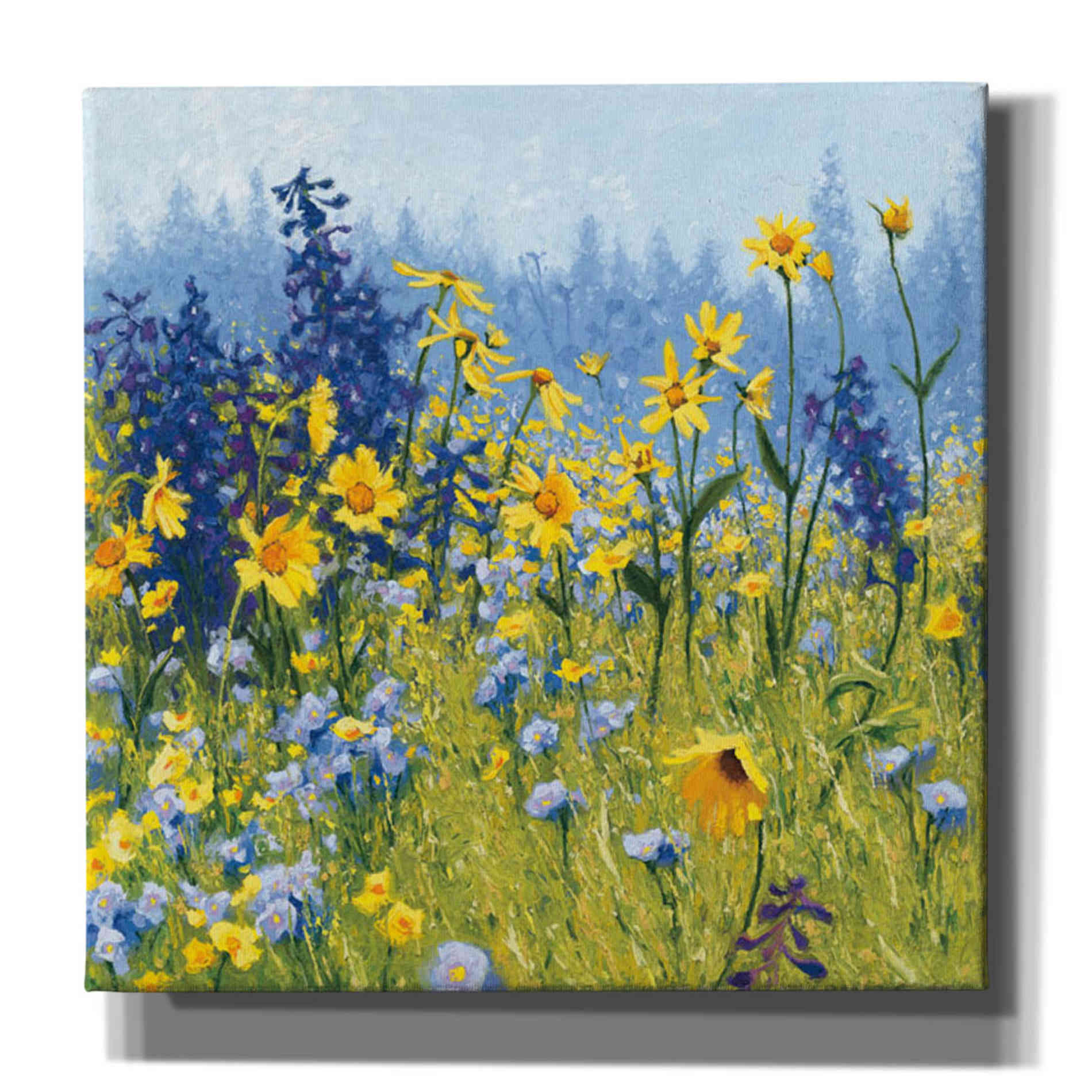 'Joyful in July III' by Shirley Novak, Canvas Wall Art