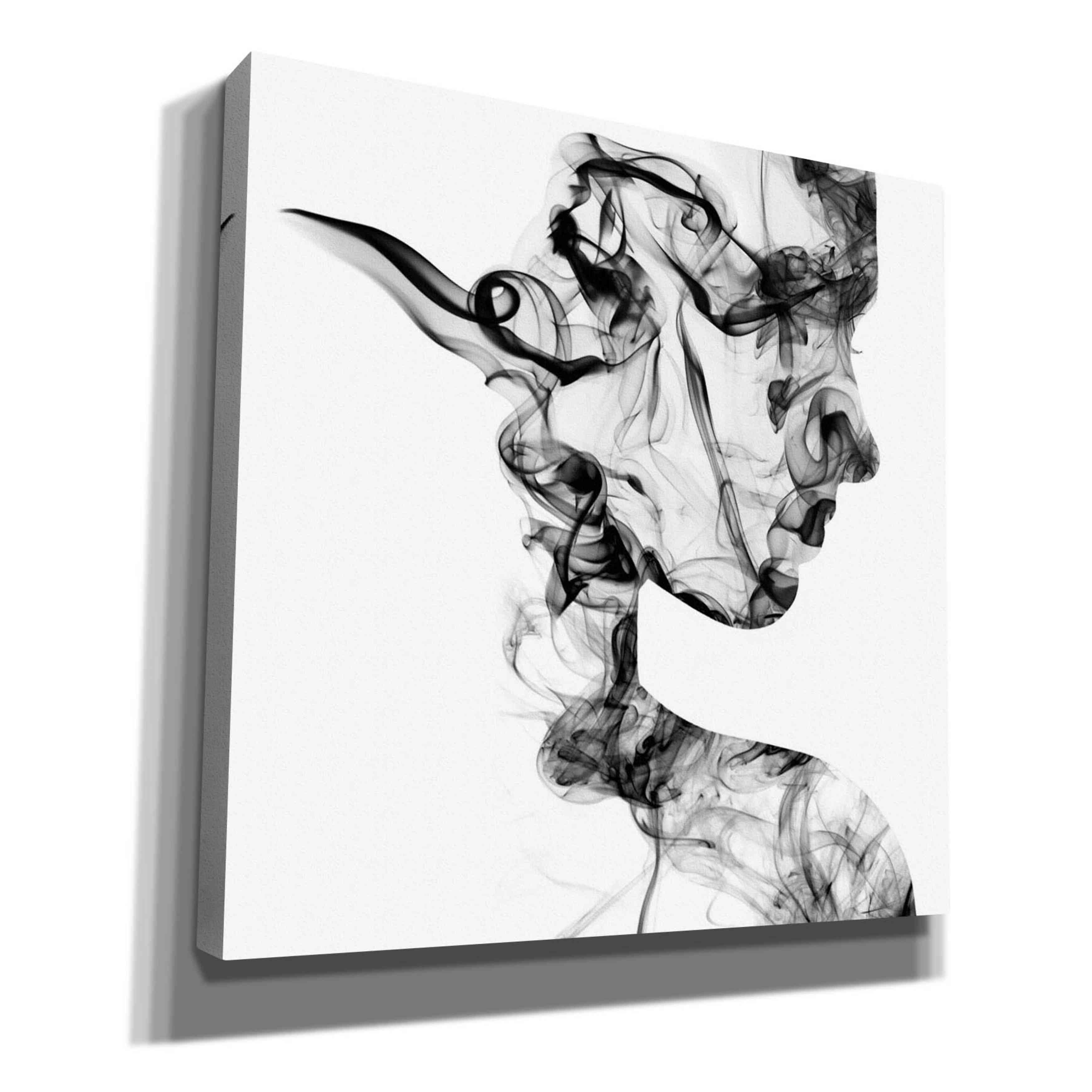 'Dissolve' Canvas Wall Art,Size 1 Square