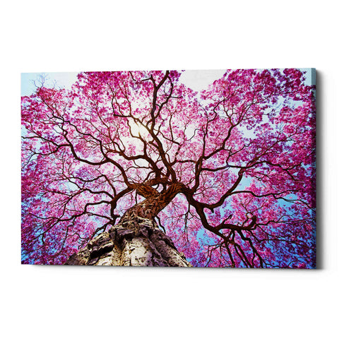 Image of 'Thing of Beauty' Canvas Wall Art,Size A Landscape