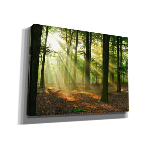 Image of 'Rays of Light' Giclee Canvas Wall Art