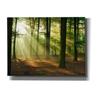 'Rays of Light' Giclee Canvas Wall Art