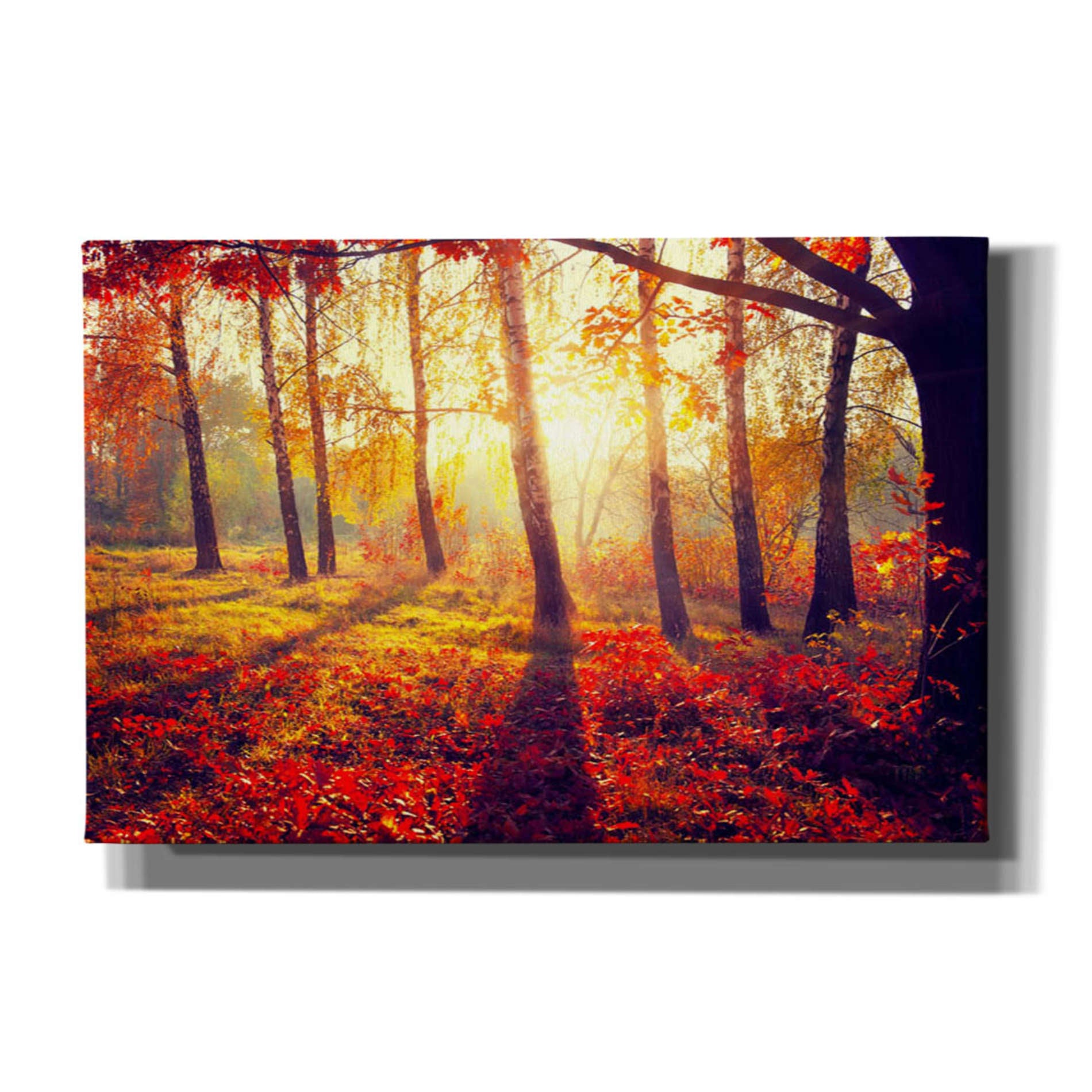 'Golden Afternoon' Giclee Canvas Wall Art