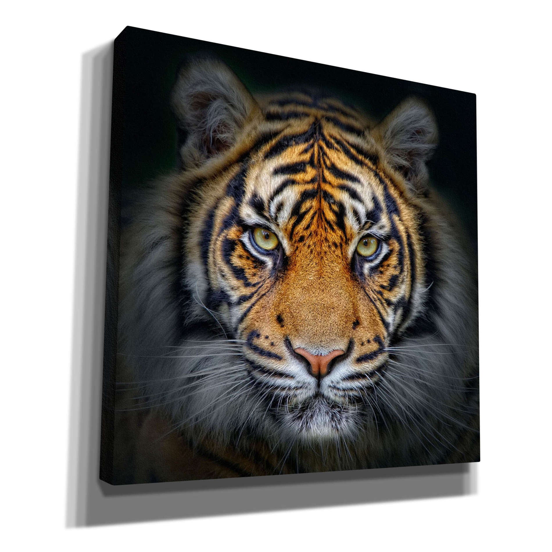'Wild Side' Giclee Canvas Wall Art